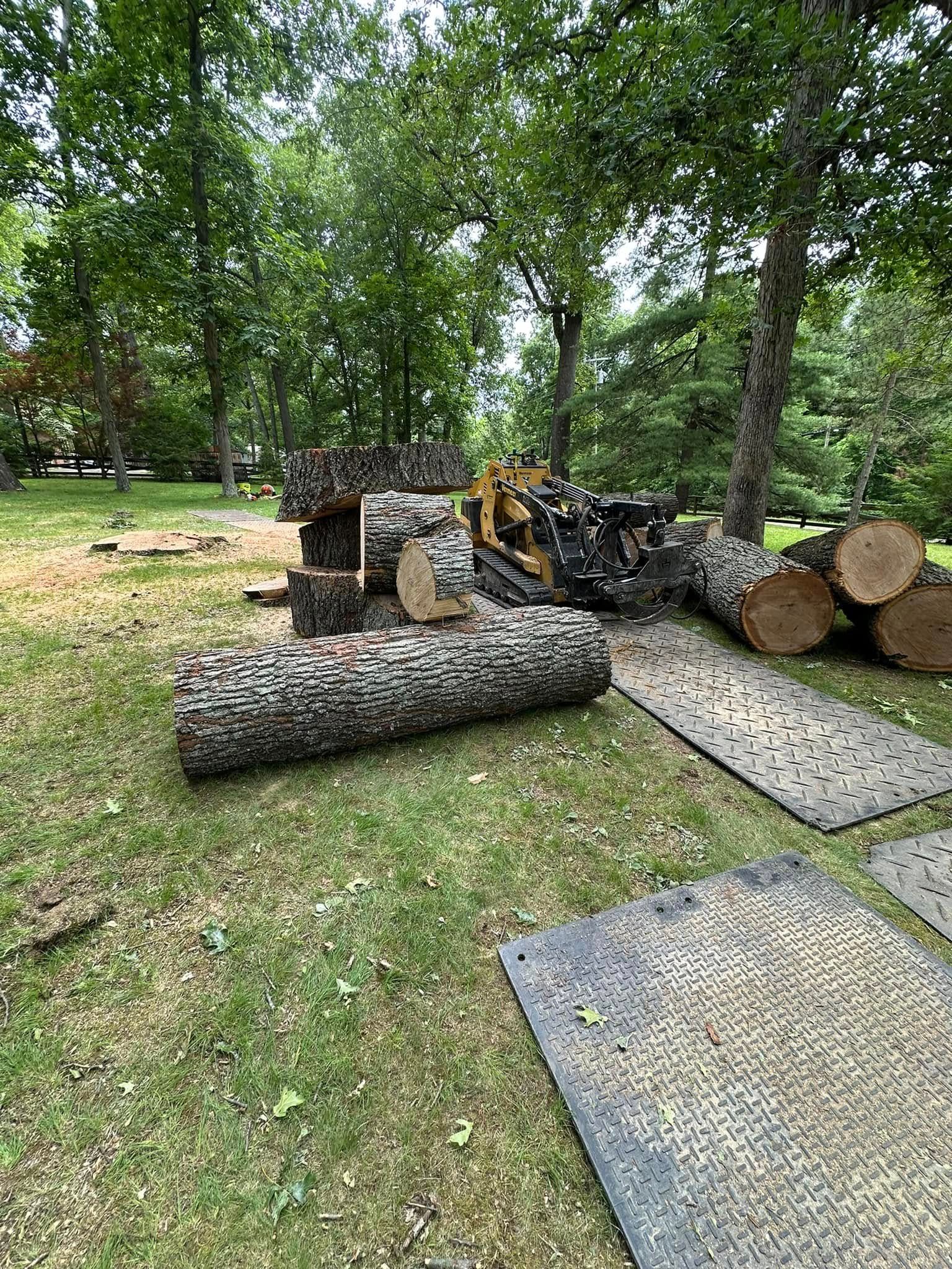 Stacked firewood and logs on concrete pads in a grassy wooded yard.
