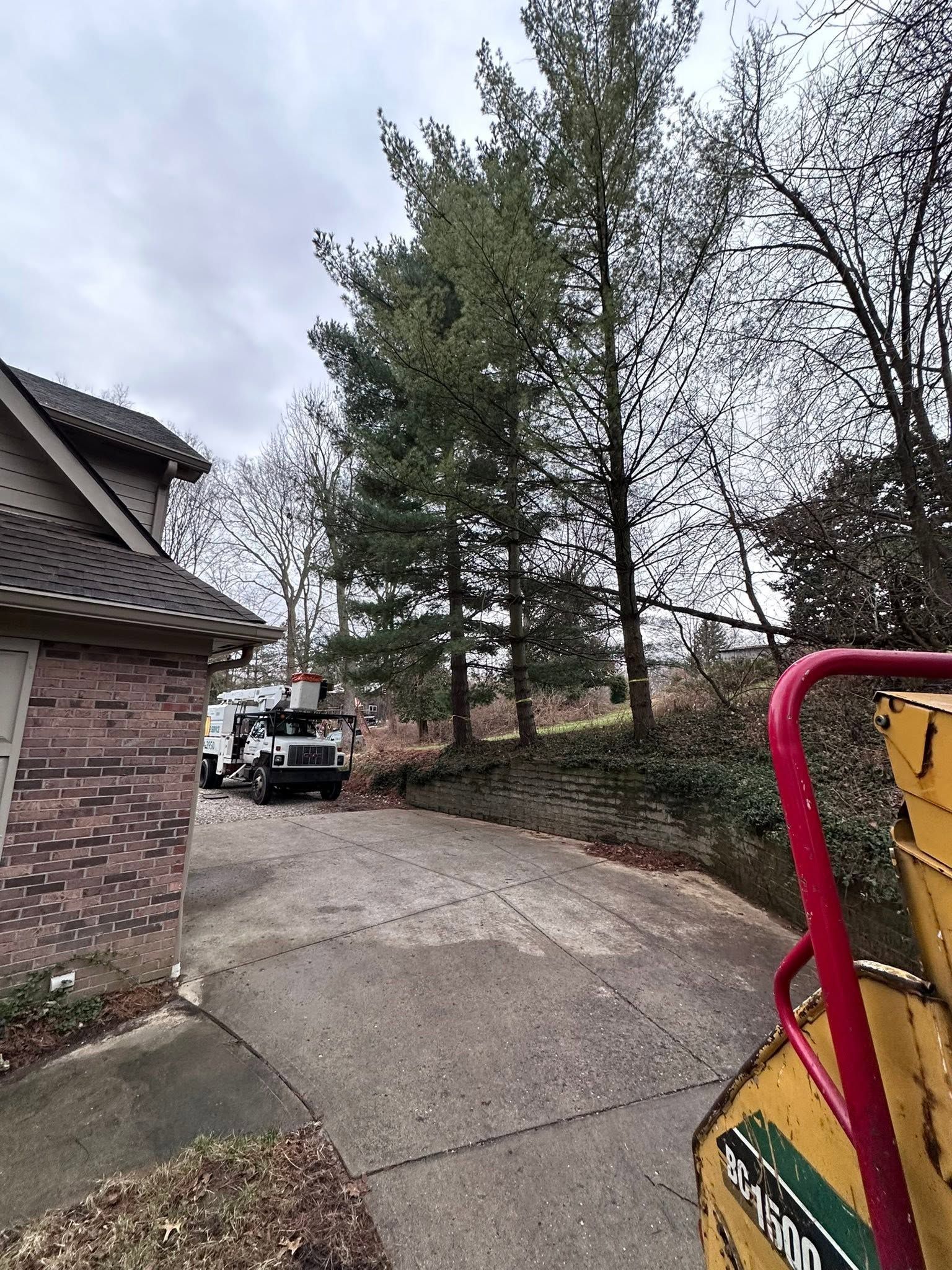 Driveway beside a brick house, with parked truck and tall trees under an overcast sky.
