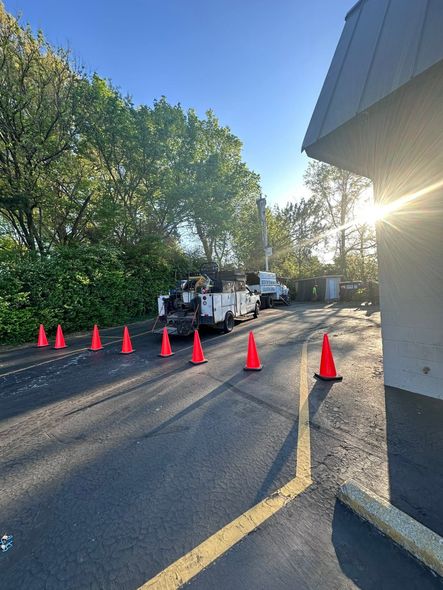 Orange traffic cones blocking a road near a white utility truck in bright sunlight, beside trees and a building