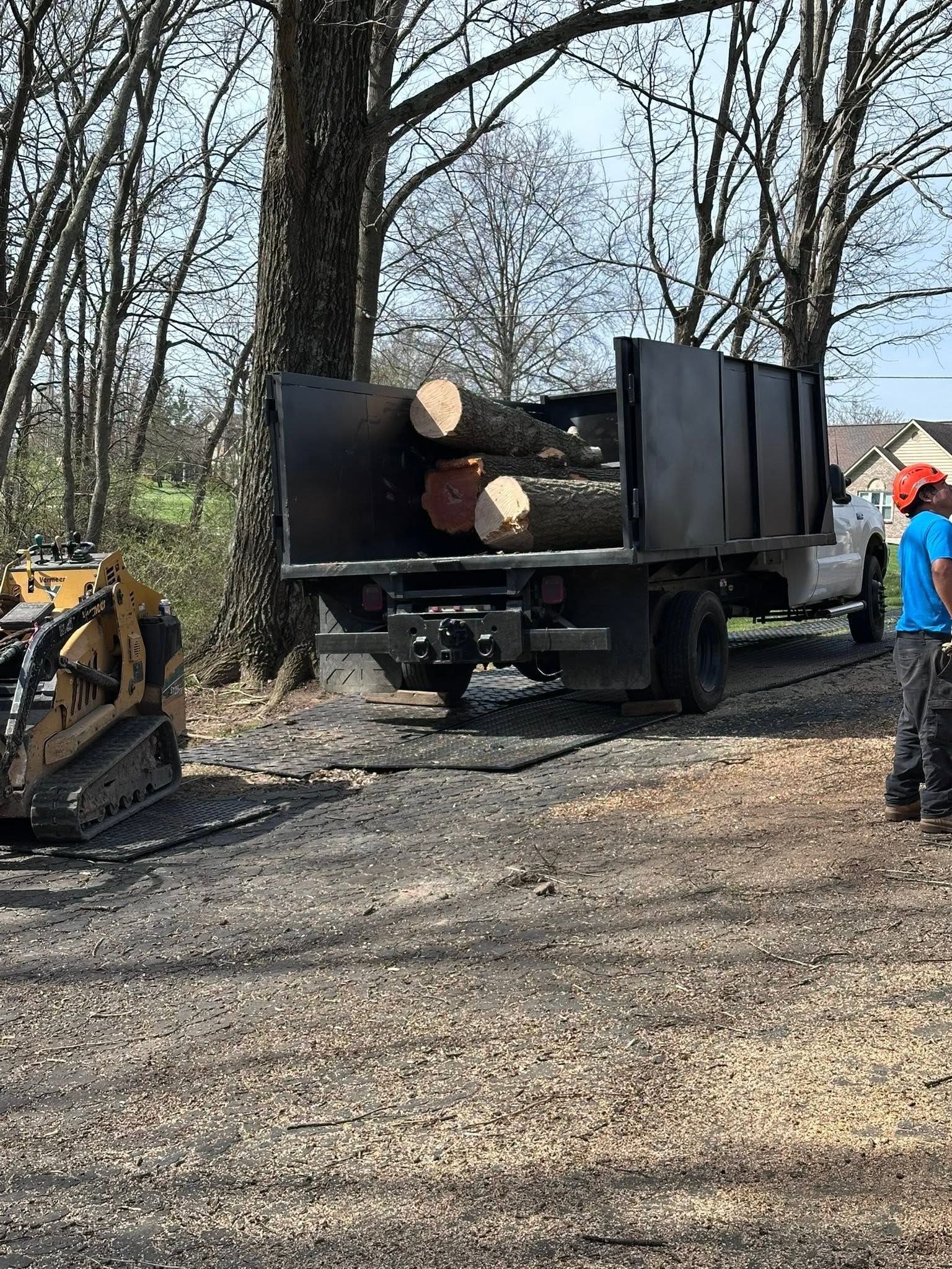 Logging truck unloading cut logs in a wooded area, with a worker standing nearby.