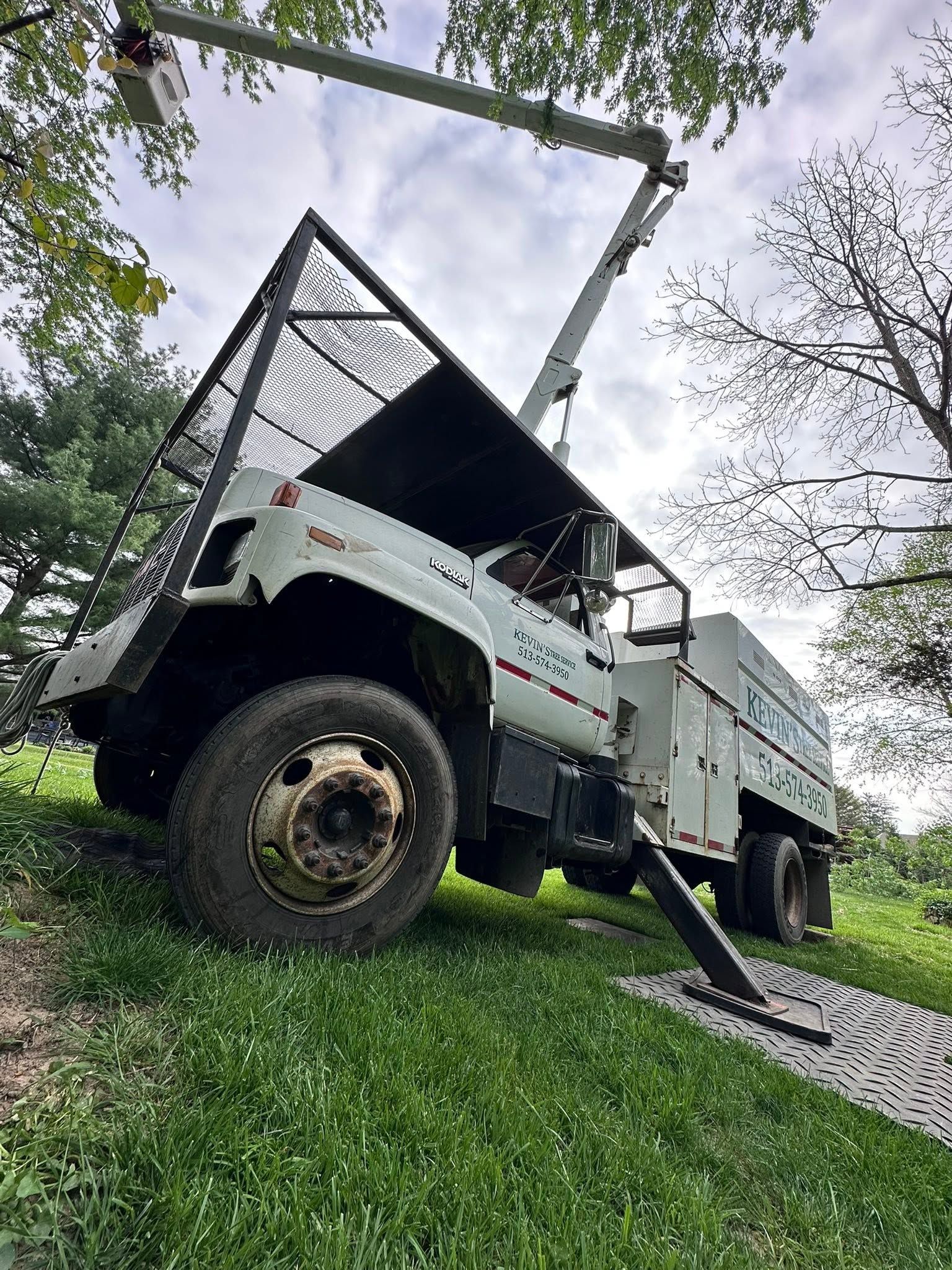 Off-road utility truck with raised dump bed parked on a grassy slope under trees