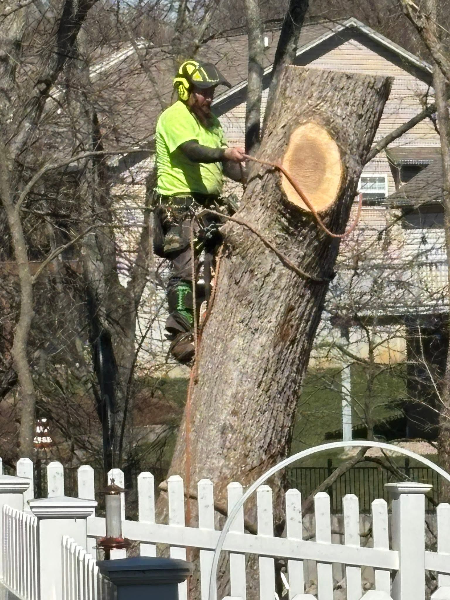 Worker in neon green safety gear trimming a tree branch beside a white fence