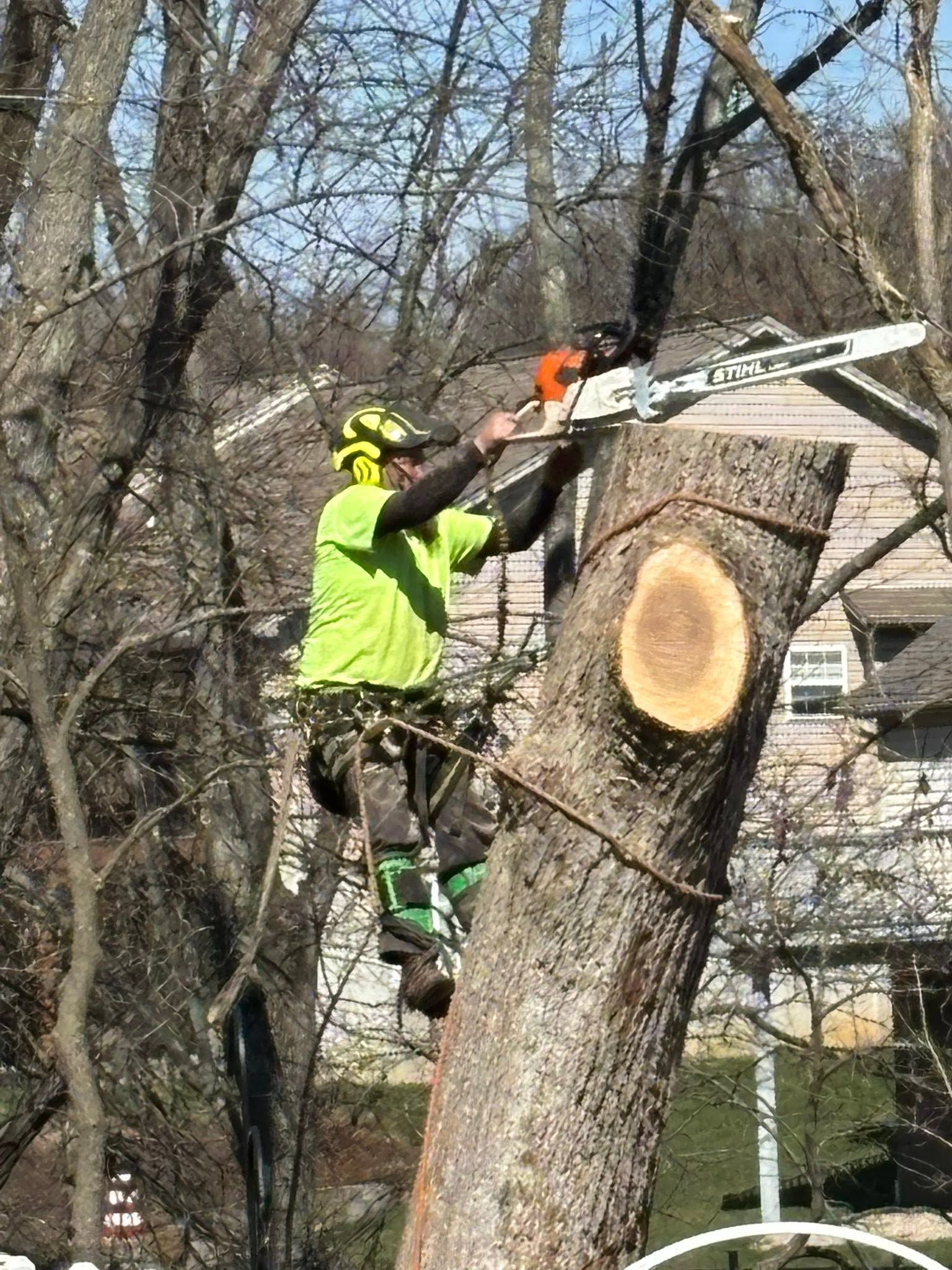 Worker in neon safety gear cutting a large tree trunk with a chainsaw outdoors
