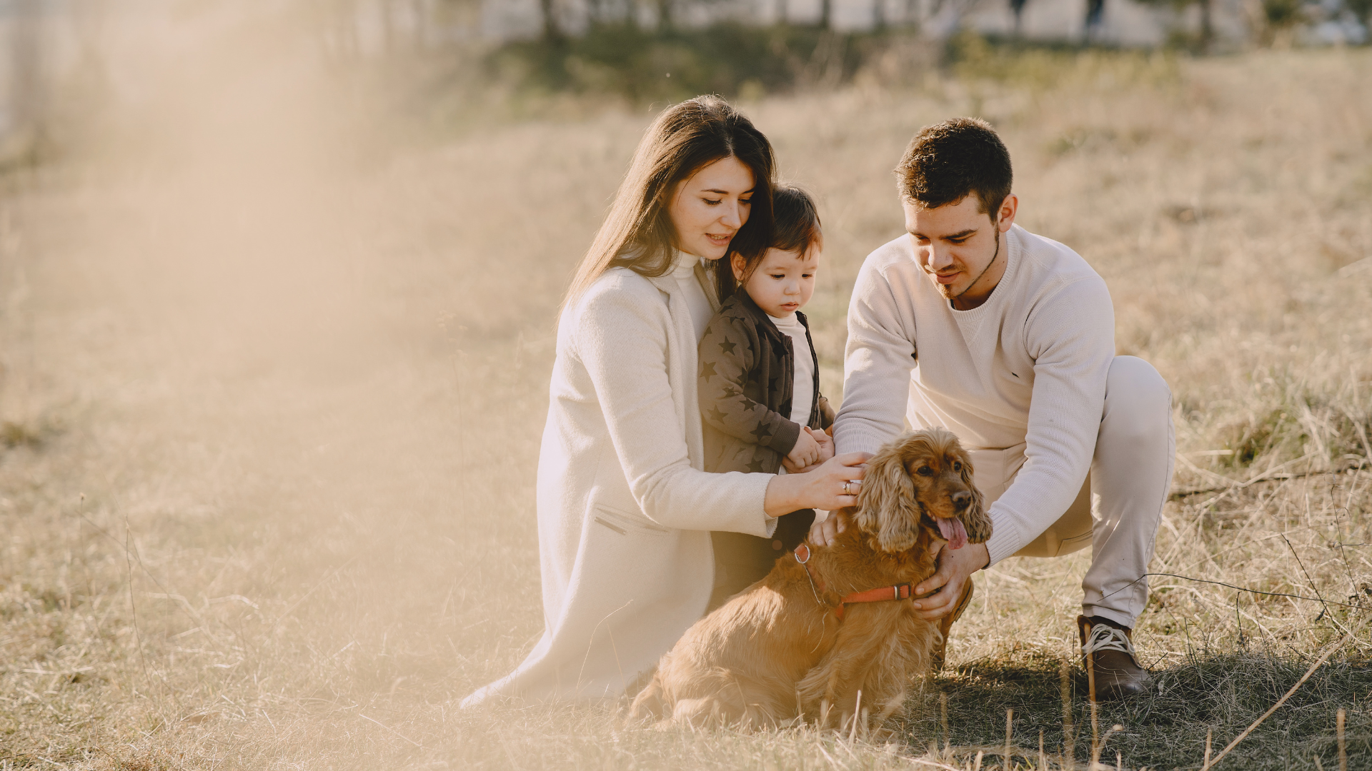 Family of three outdoors in a field, petting a golden retriever, with parents and toddler enjoying a