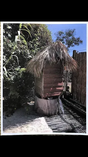 A rustic wooden structure with a thatched roof perched on a large tree stump in a sunny outdoor setting.