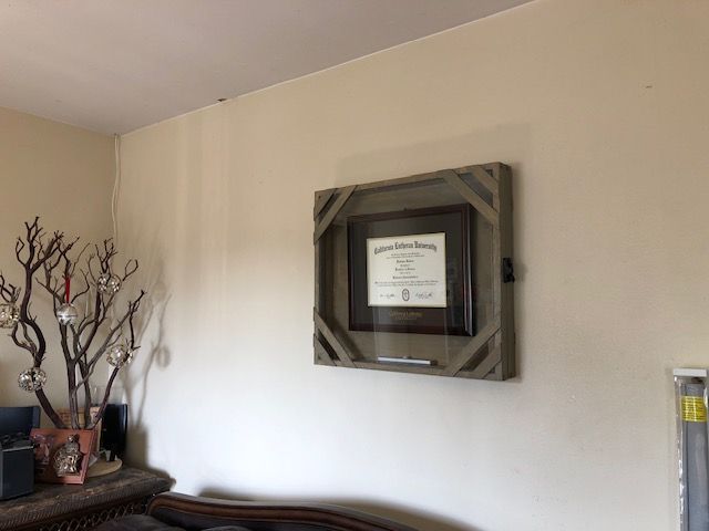 A framed diploma hangs on a plain wall next to a decorative branch sculpture in a living room.
