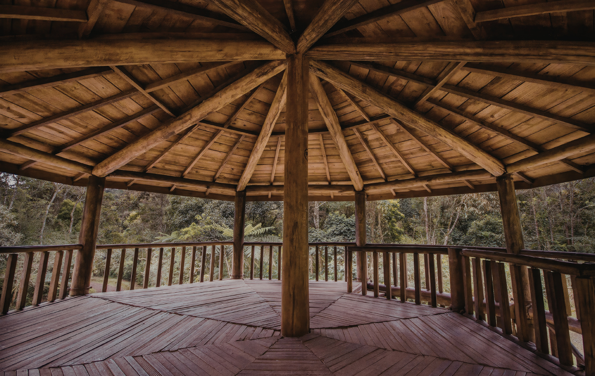 A wooden gazebo with a radiating roof structure and railings, overlooking a forest.