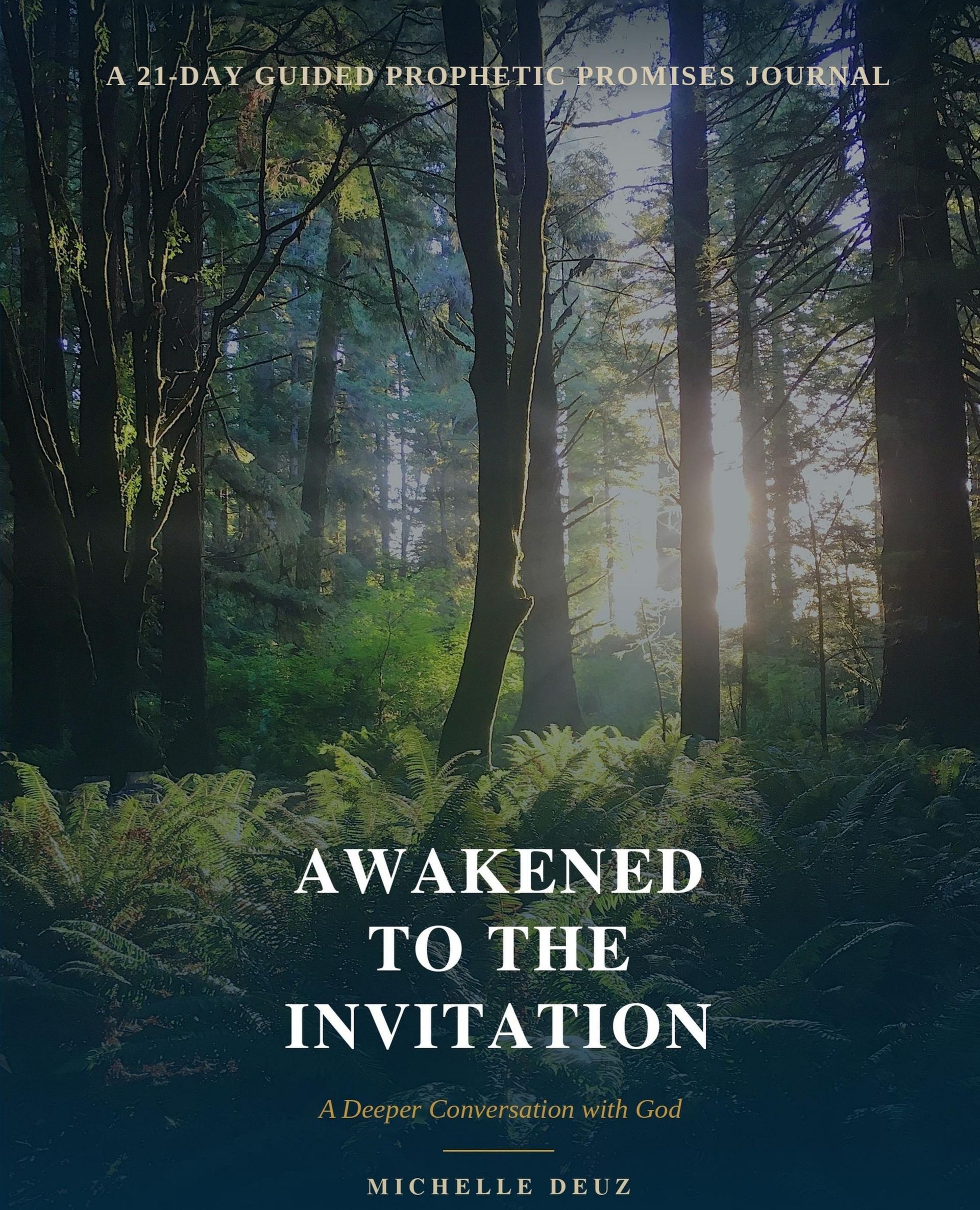 Awakened to the Invitation book cover by Michelle Deuz