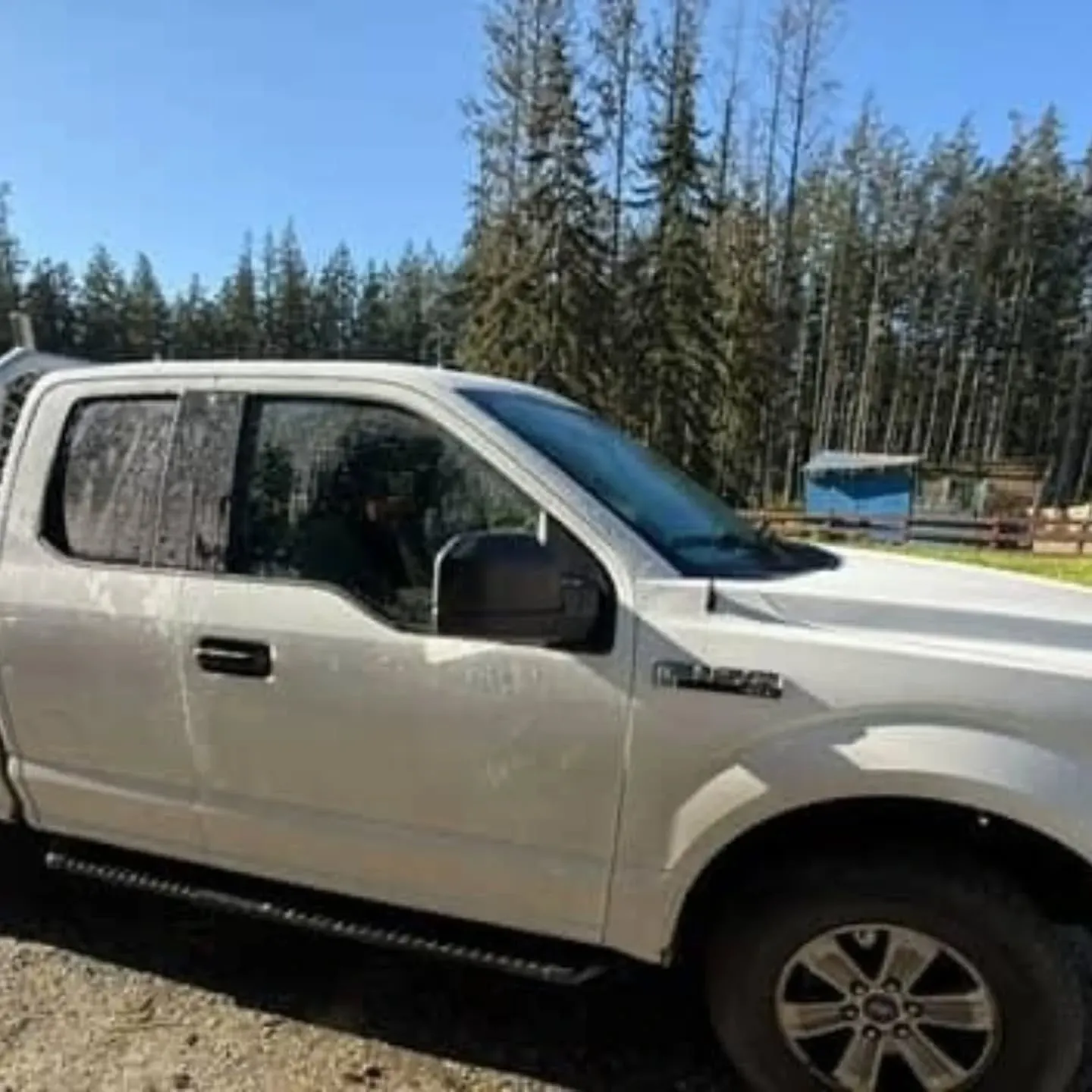 A dirty white Ford F-150 parked on a gravel surface in front of a forest on a sunny day.