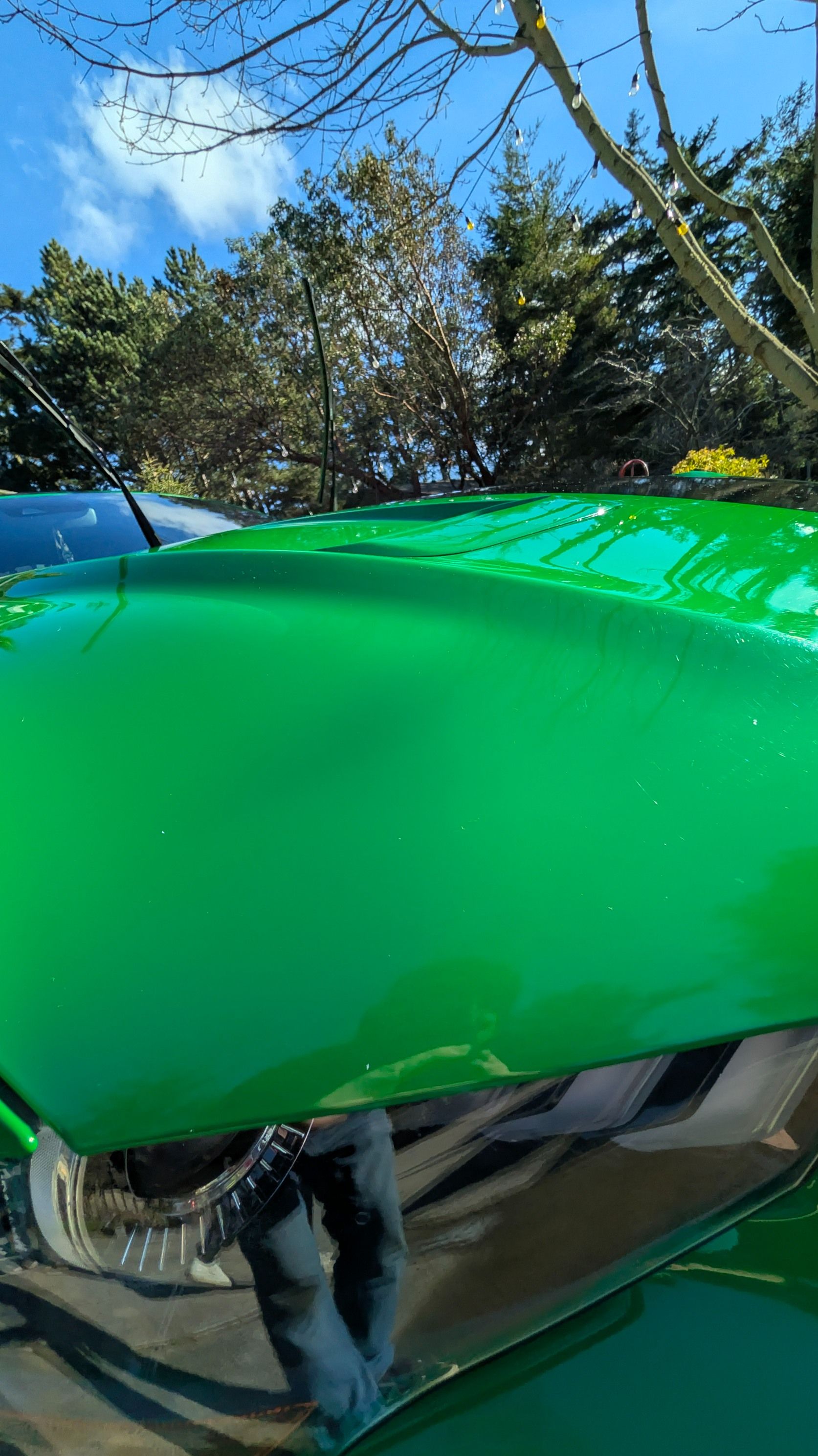 The shiny, bright green hood of a car reflects a person standing outdoors with trees and a clear blue sky in the background.