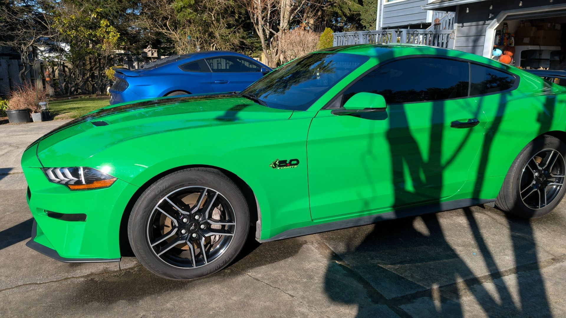 A bright green Ford Mustang parked on a driveway with a blue car visible in the background under a sunny sky.