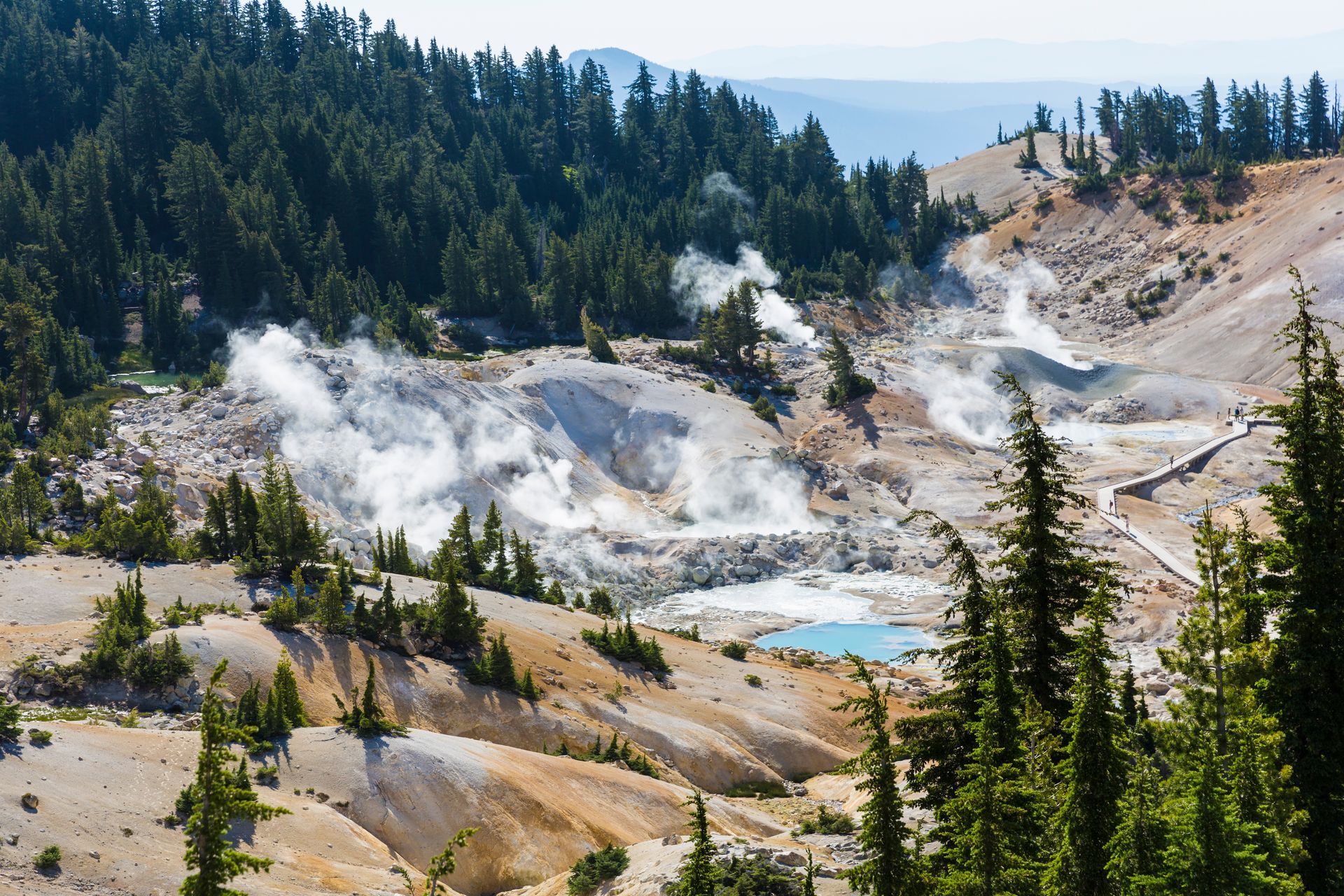 A view of a hot spring in the middle of a forest.
