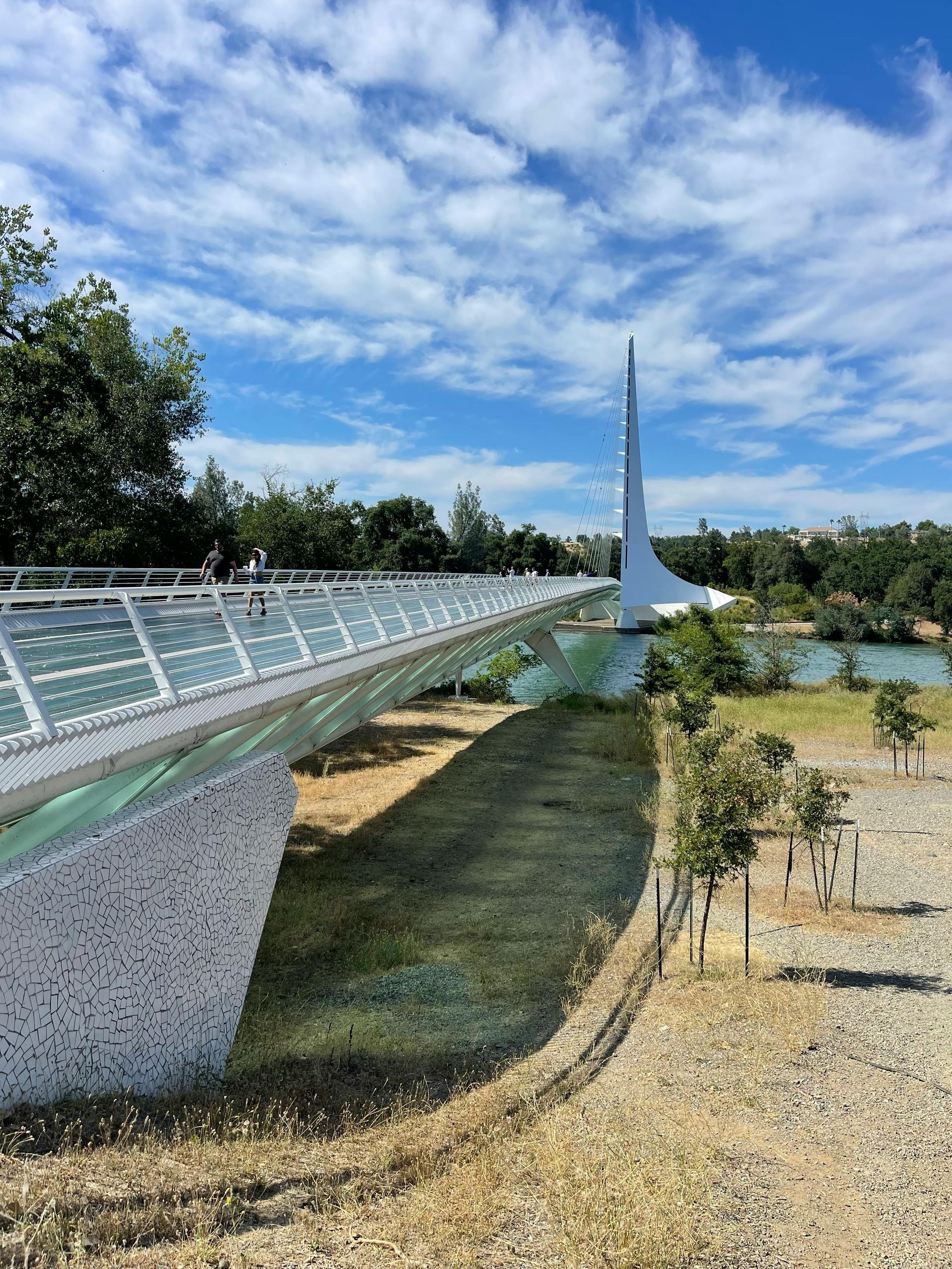 A bridge over a river in a park on a sunny day.