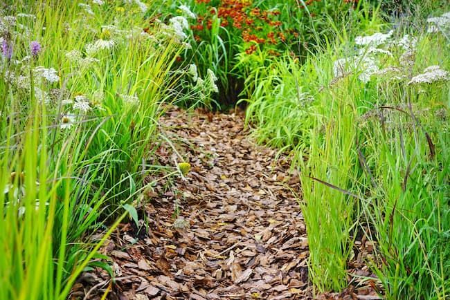 Traverse a Scenic Garden Pathway With Tree Change NQ's Townsville Tree Care Services — Tree Change NQ in Magnetic Island, QLD