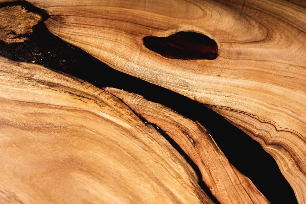 Close-Up view of a Tree's Bark Texture Showcasing The Natural Beauty of Wood — Tree Change NQ in Townsville, QLD