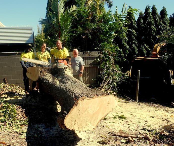 A Group Of People Standing Next To A Large Log — Tree Change NQ in Townsville, QLD