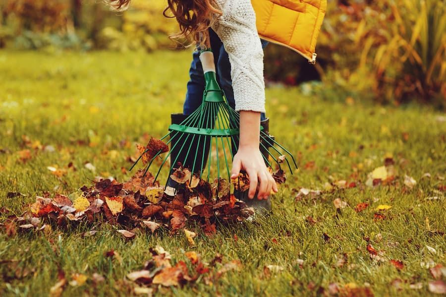 Tree Care Enthusiast Wielding a Rake Amidst Fallen Leaves — Tree Change NQ in Townsville, QLD