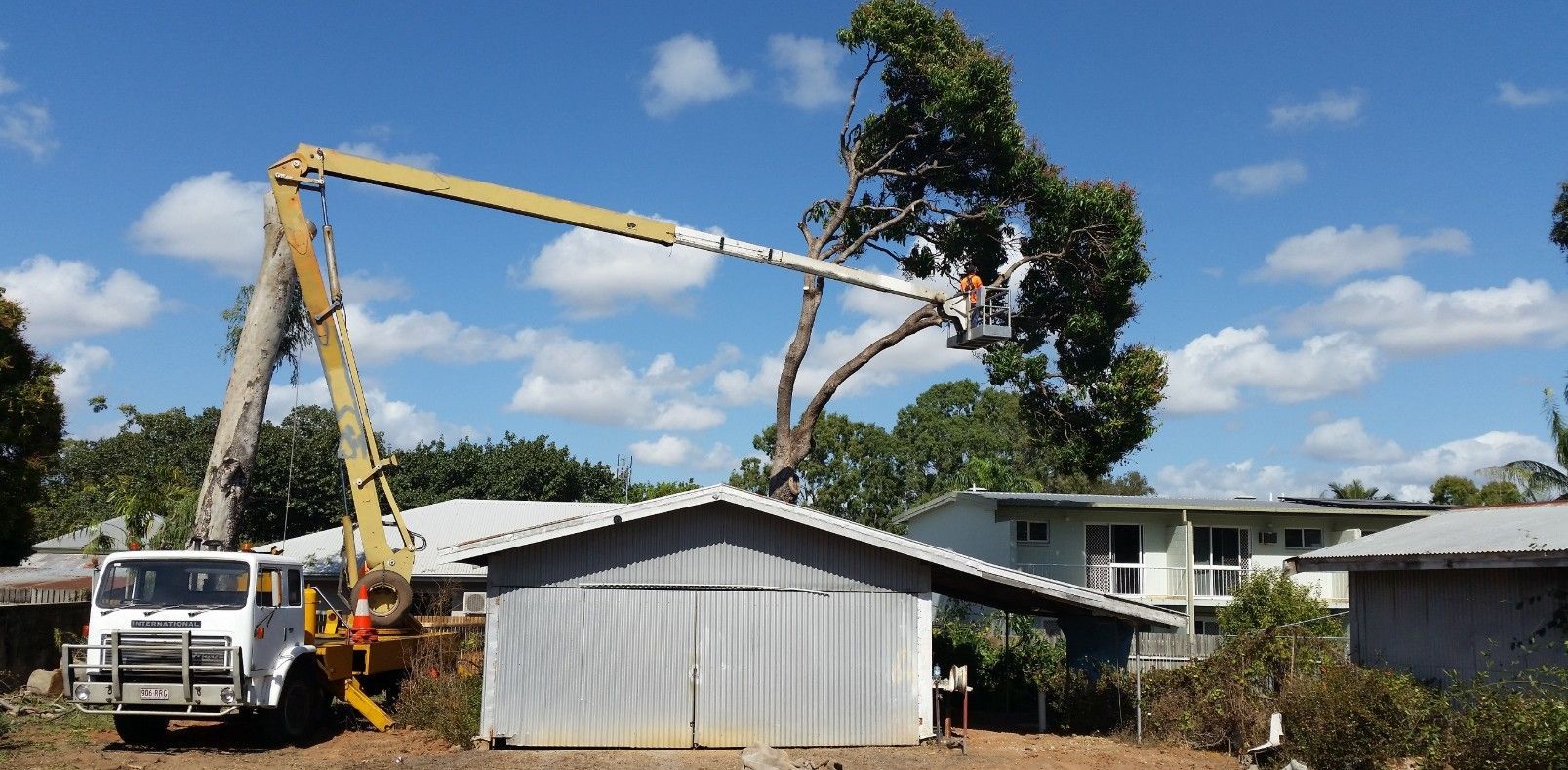 Arborist Townsville Tree Trimming With Elevated Work Platform