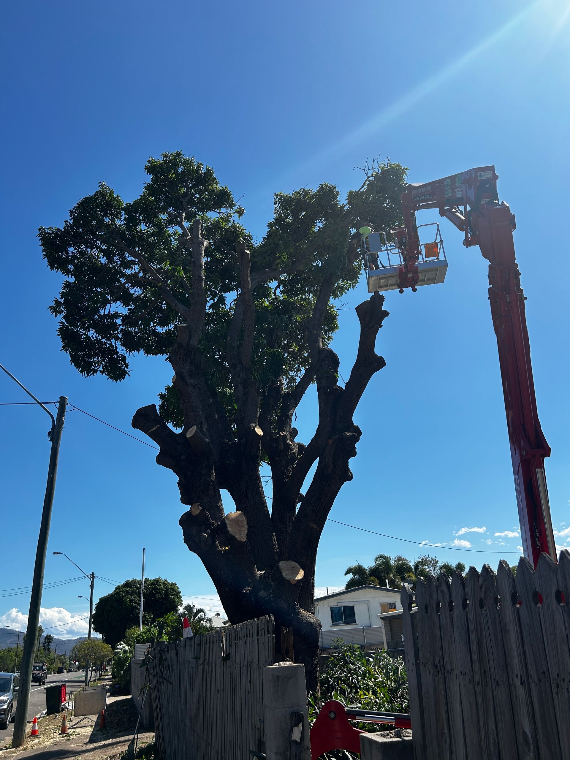 A Man Is Standing Next To A Large Log Being Lifted By A Crane — Tree Change NQ in Townsville, QLD