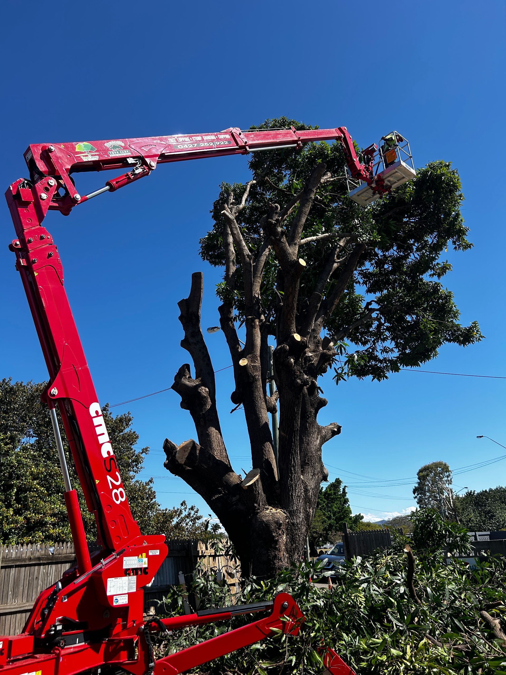 Arborist Operating Red Cherry Picker Crane to Trim Large Trees Against a Clear Blue Sky — Tree Change NQ in Townsville, QLD