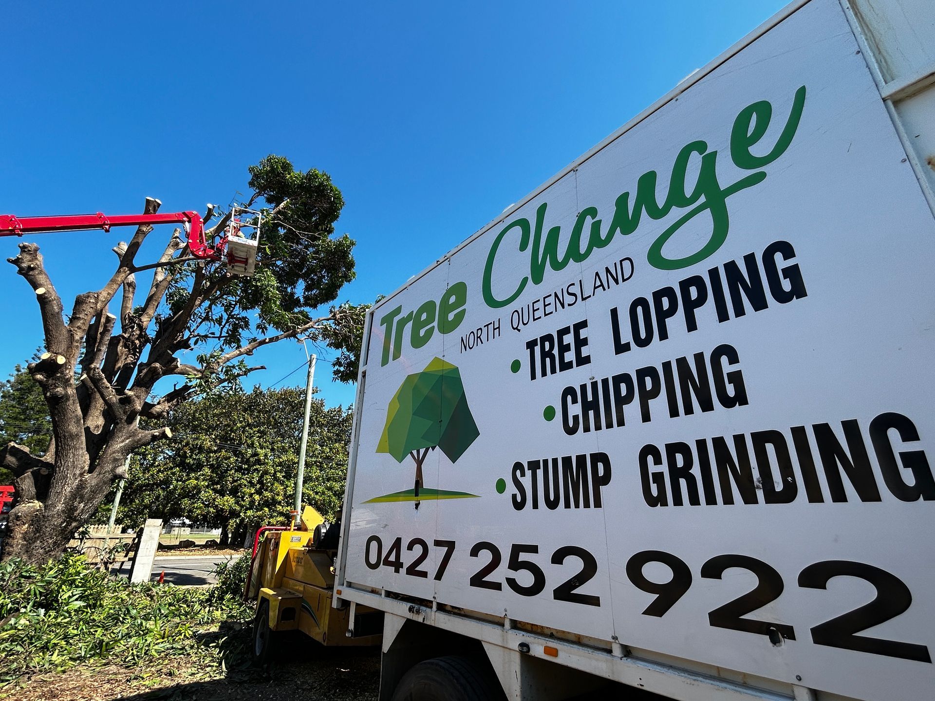 Tree Surgeon Employing a Chainsaw for Tree Ascent — Tree Change NQ in Townsville, QLD