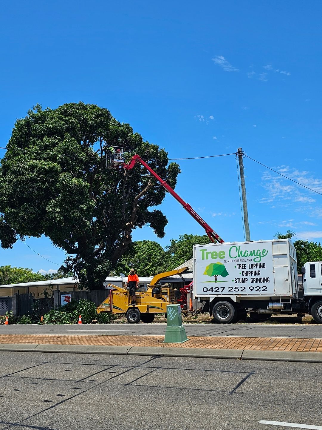 A Person Ascending in a Lift Among The Branches of a Tree — Tree Change NQ in Townsville, QLD