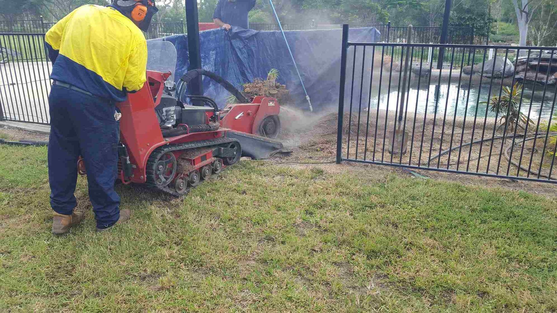 Stump Grinding Townsville Removing Tree Stumps With Compact Grinder.