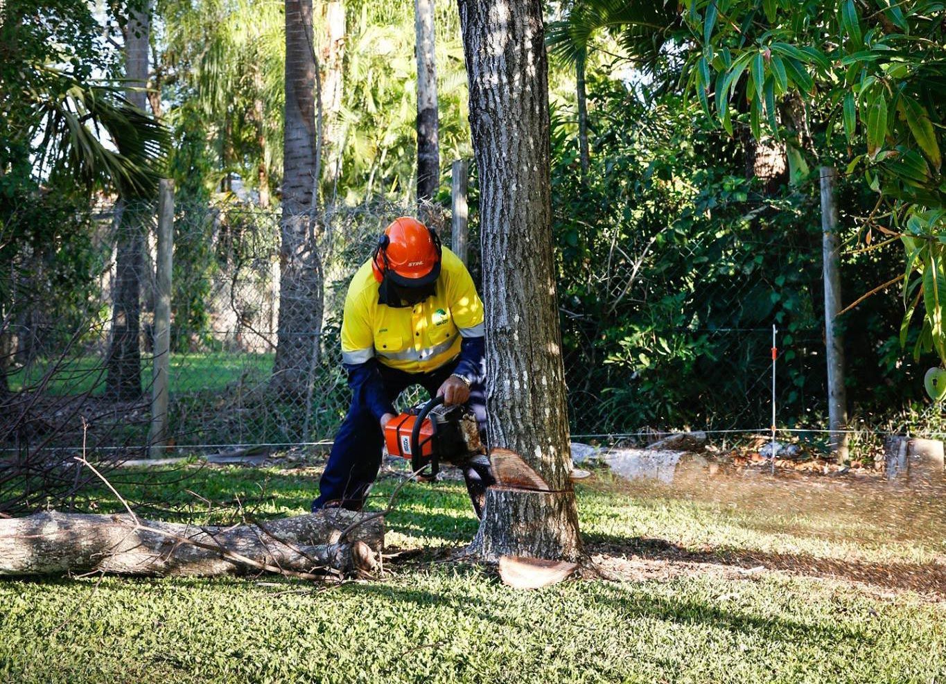 Arborist Cutting A Tree