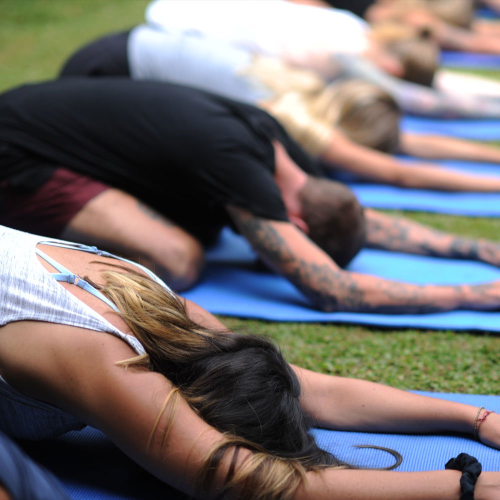 Reset Wellness Holistic Wellness Programs