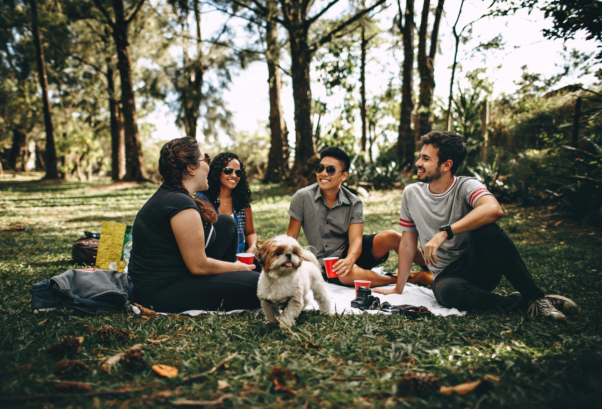 A group of young adults discussing their well-being while having a picnic.