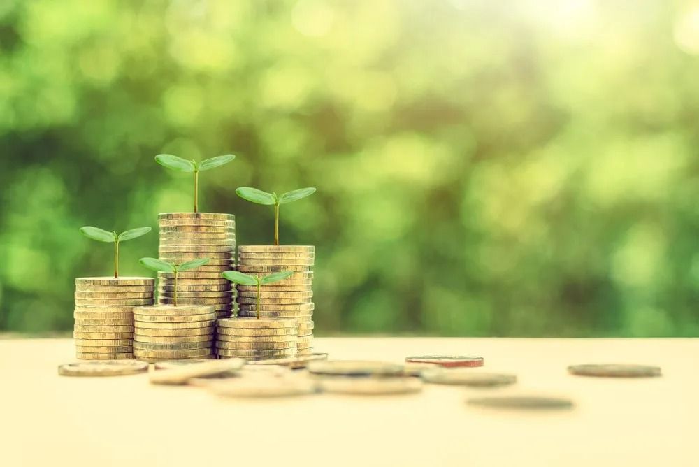 Stacks of Gold Coins with Growing Plants on Wood Surface — All Finanz & Insurance Solutions Mackay in Moranbah, QLD