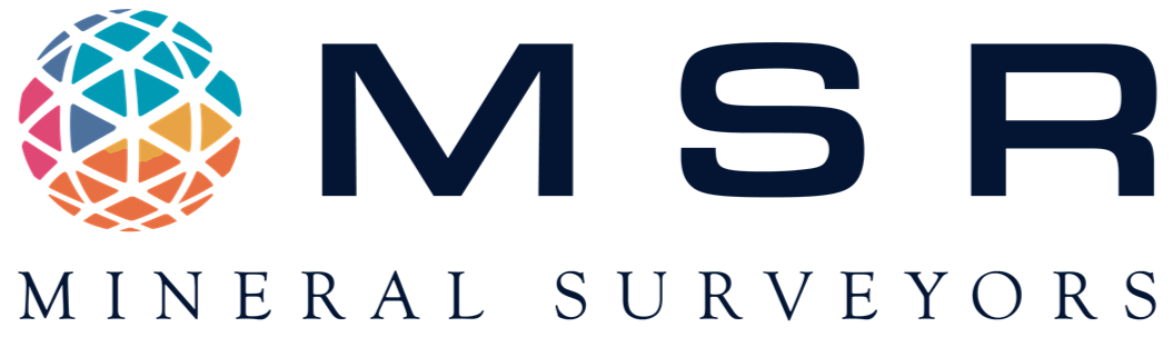 Logo with a globe made of colorful triangles, the initials