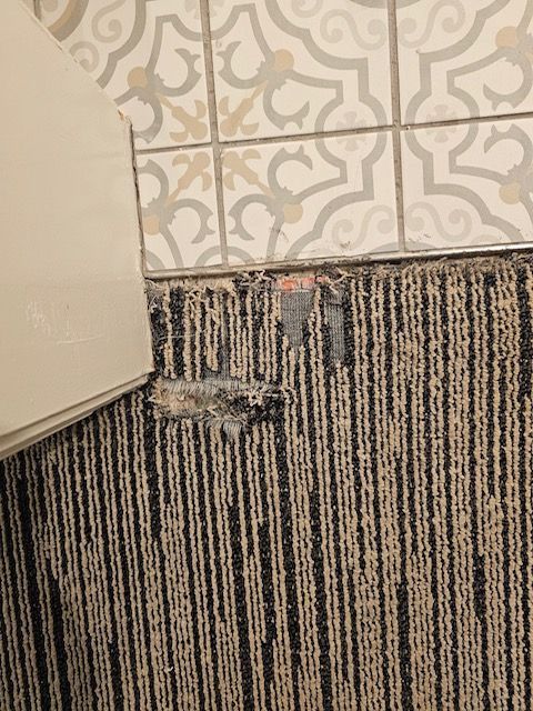 carpet repair wrinkle oceanside