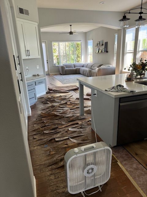 Encinitas homes shine again with professional carpet and floor repairs from San Diego's Finest Flooring.