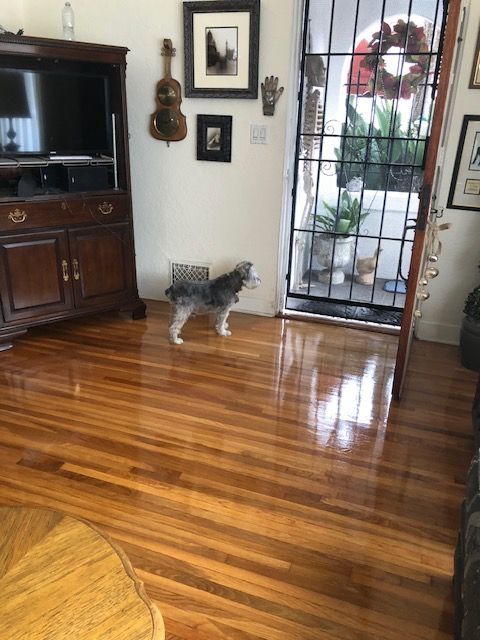 Hardwood installation and refinishing in Encinitas
