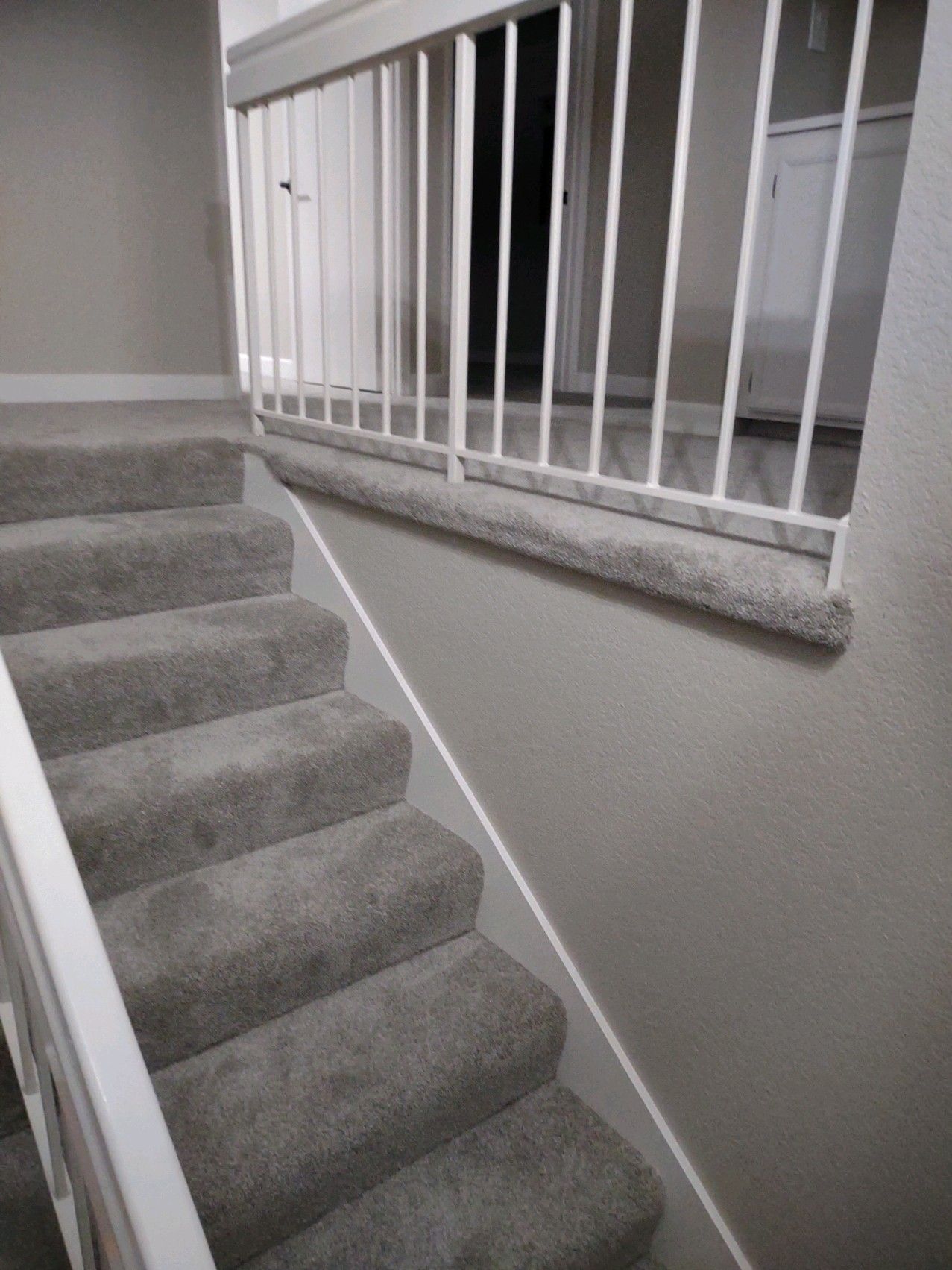 Carmel Valley flooring showroom with custom carpet designs
