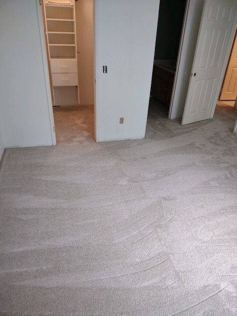 Professional carpet services in Del Mar, California
