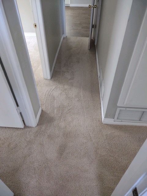 Expert carpet repairs offered at Carmel Valley showroom

