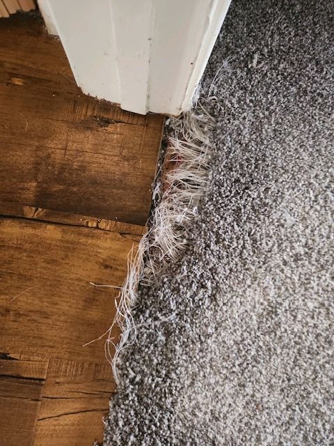 carpet tear installation