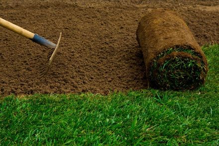 Hand rake beside freshly tilled soil and a rolled strip of green sod