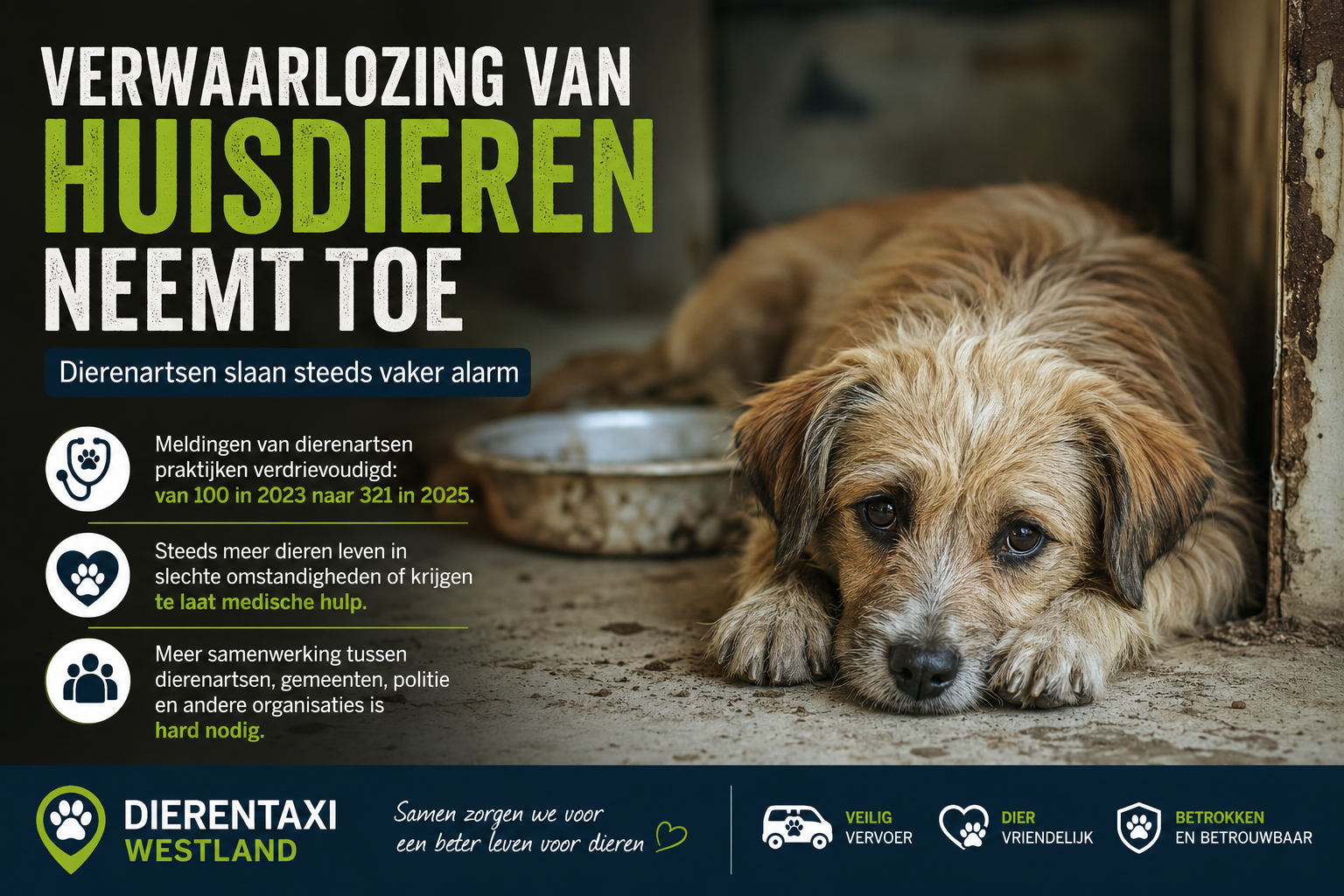 Bij Dierentaxi Westland zien we dagelijks hoeveel liefde en zorg huisdieren nodig hebben.