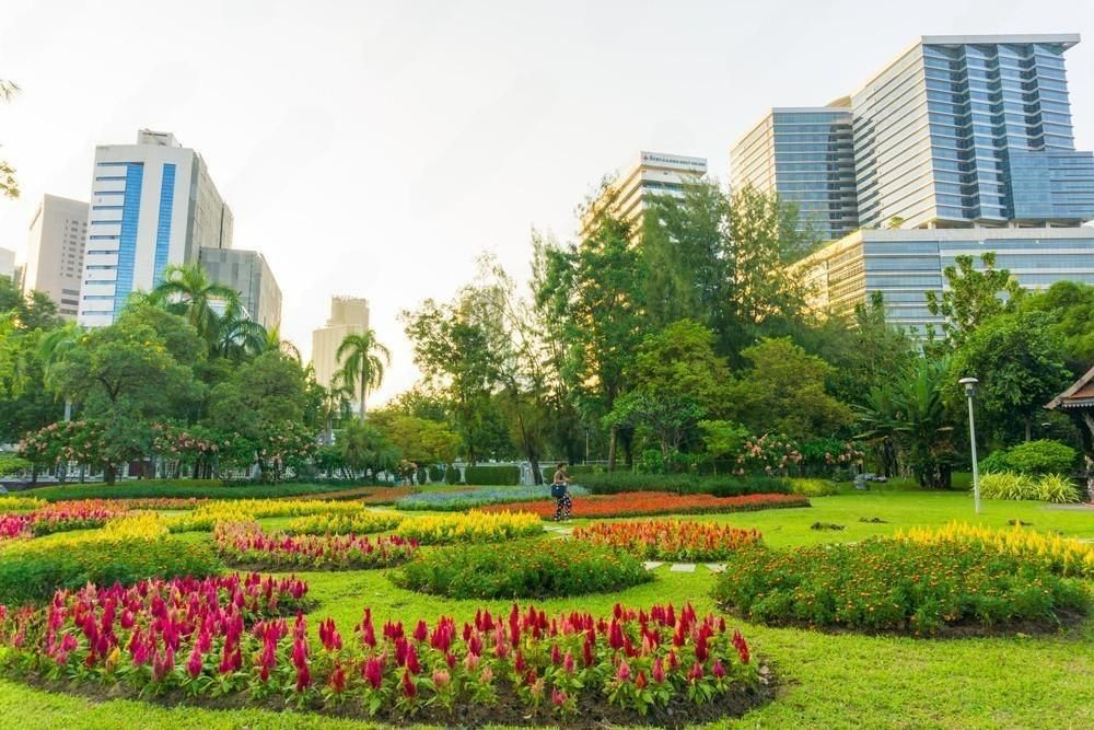 a park with lots of flowers and buildings in the background .