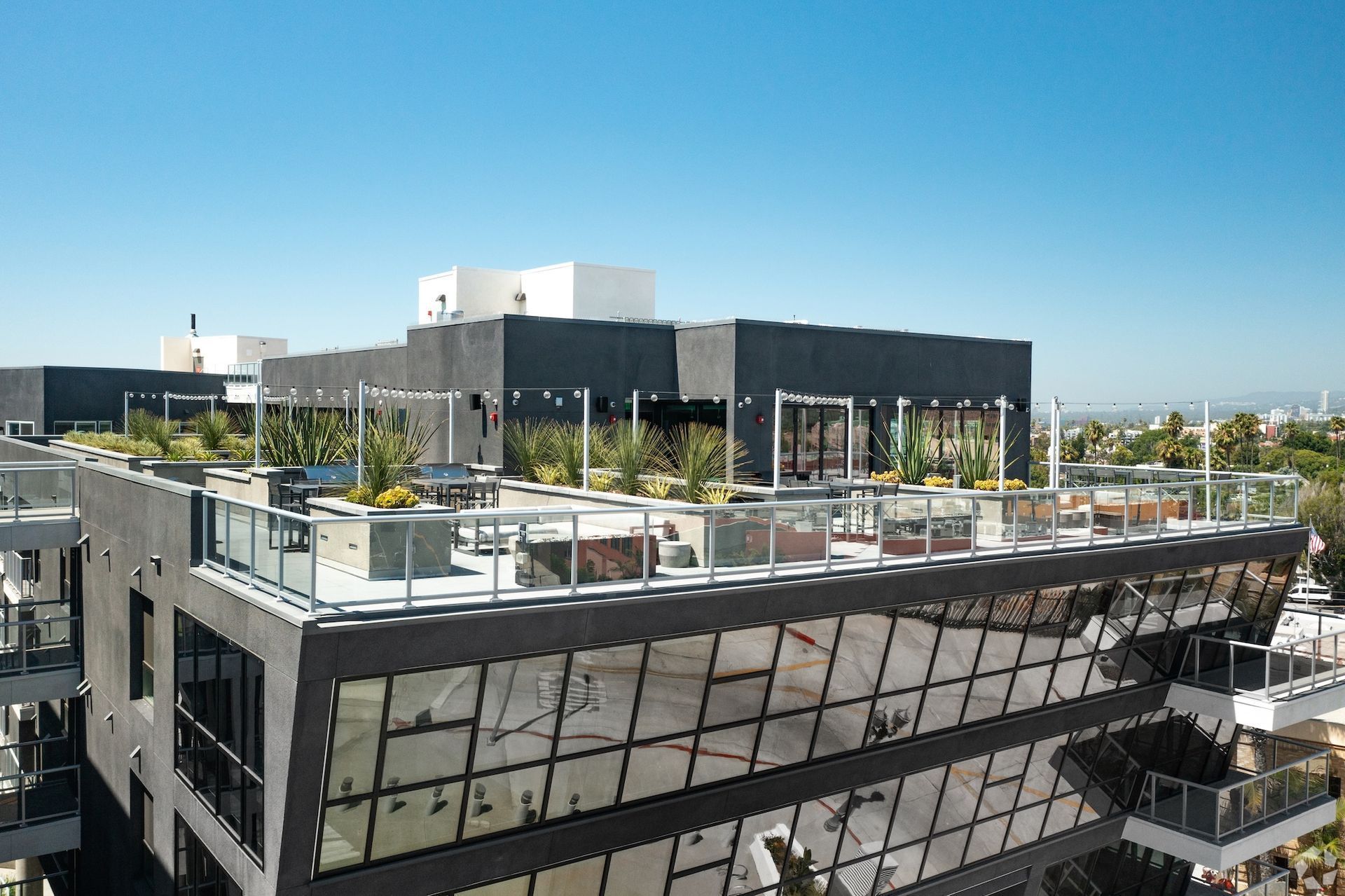 An open-air rooftop courtyard features turf lounge seating, palm-lined pool, and sun loungers at The