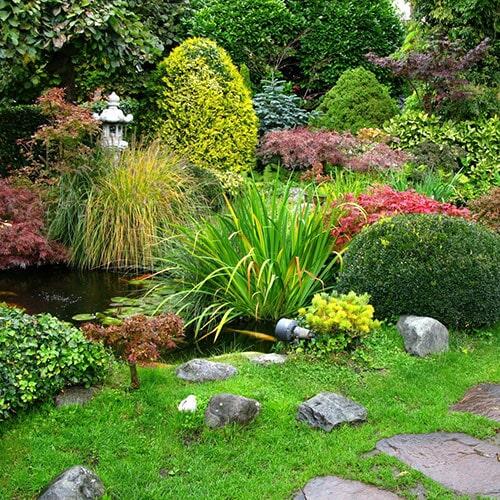 JACAMI - Poda y tala de árboles