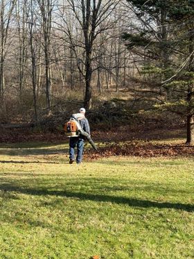 Person with backpack and leaf blower standing in a sunny yard near trees and grass.