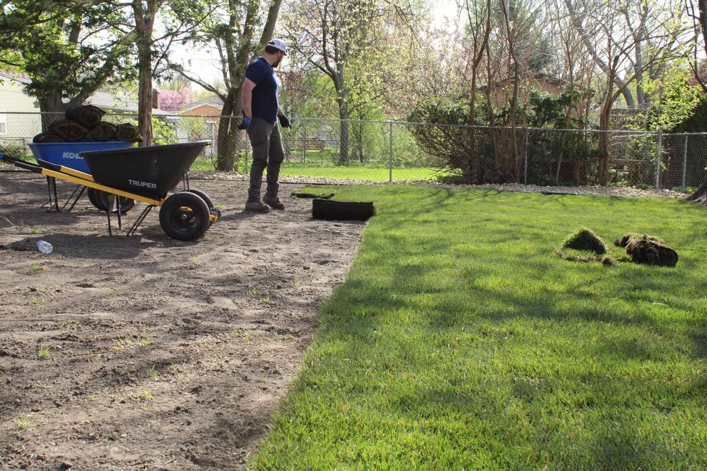 Person standing by a blue wheelbarrow in a yard, with a black cat on the grass.