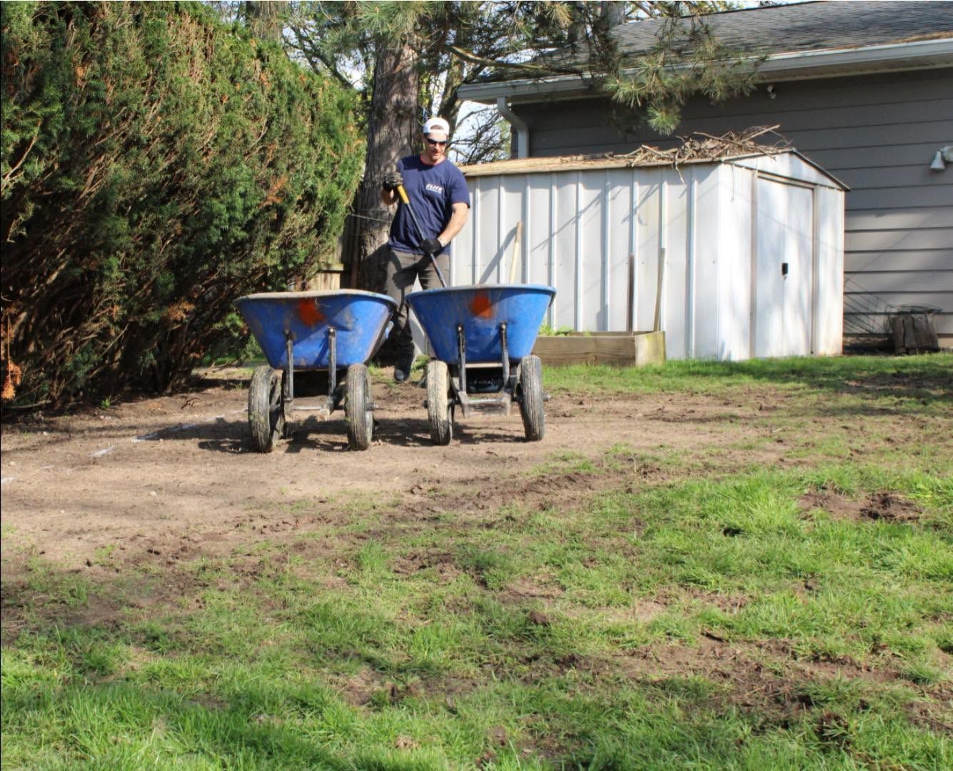 Person standing behind two blue wheelbarrows in a yard beside a shed and house.