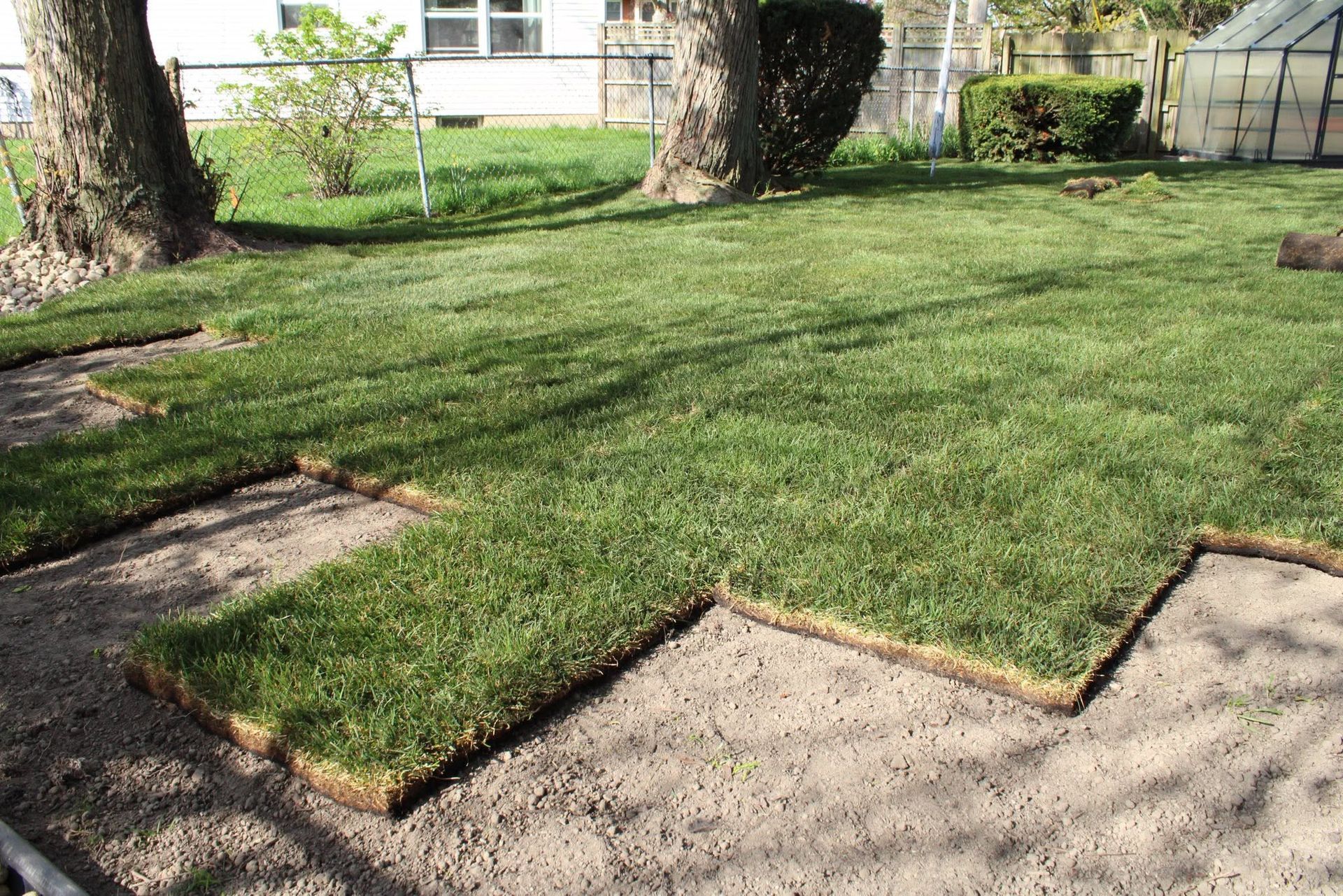 Freshly laid green sod covering a yard, bordered by bare soil and stone pavers near trees and a house