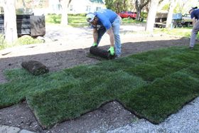 Worker placing sod in a park path area