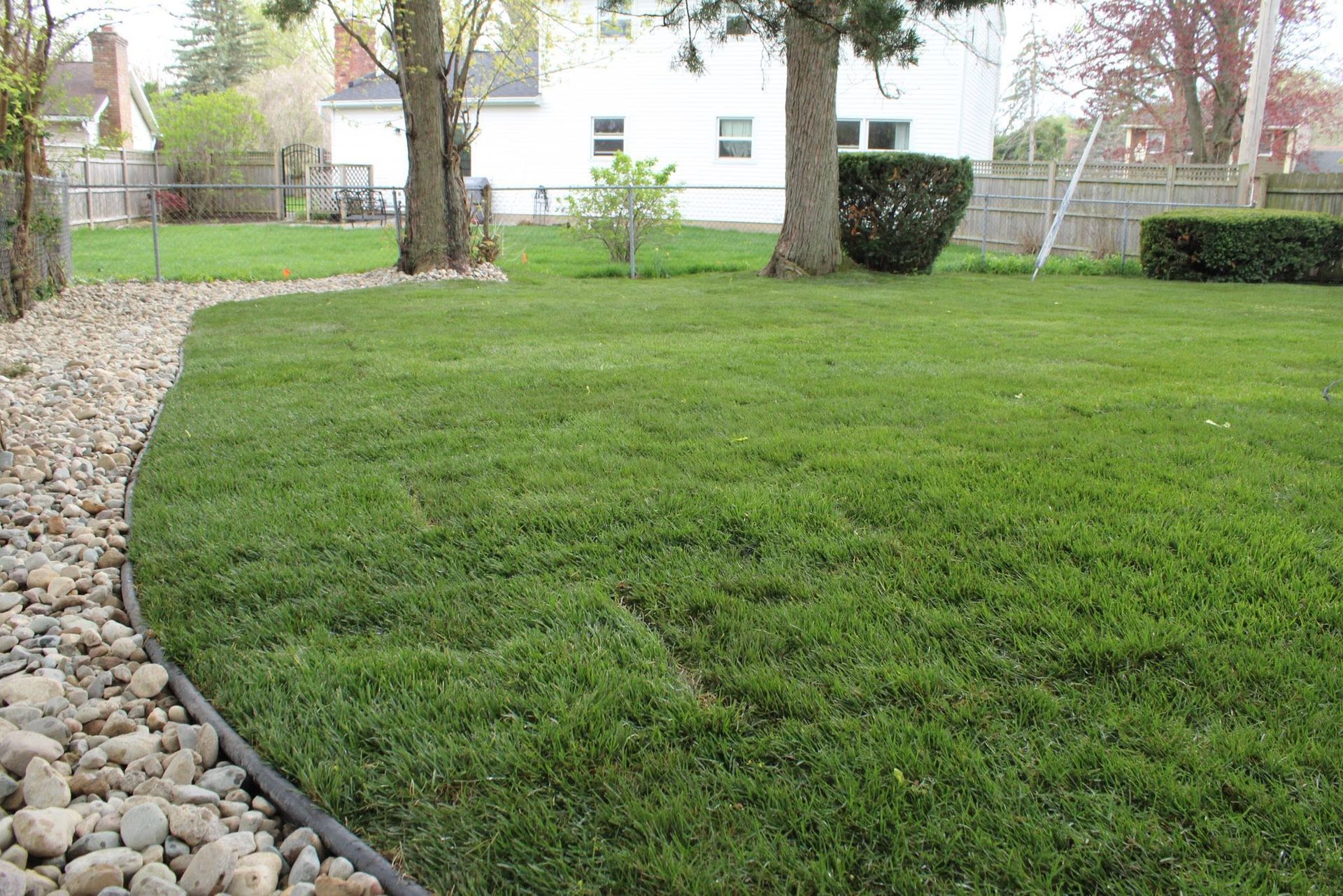Curved green lawn bordered by rocks in a suburban backyard with trees and houses in the background